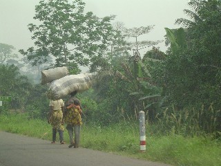Large Load